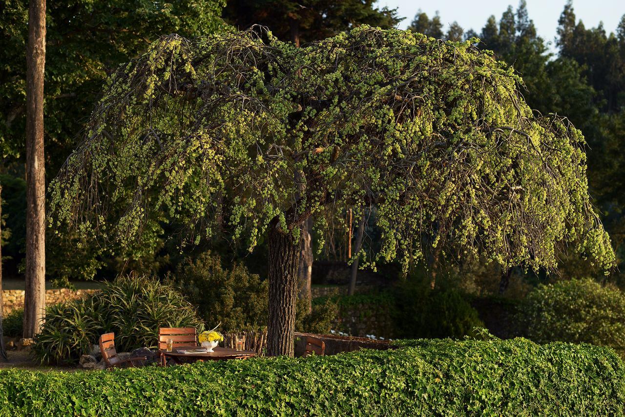Convento Inn And Artists Residency Chamusca  Bagian luar foto