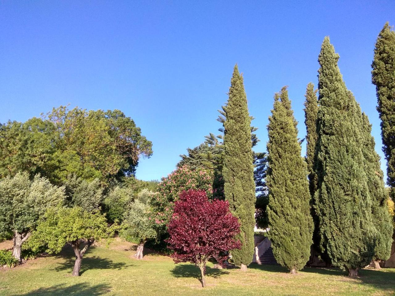 Convento Inn And Artists Residency Chamusca  Bagian luar foto