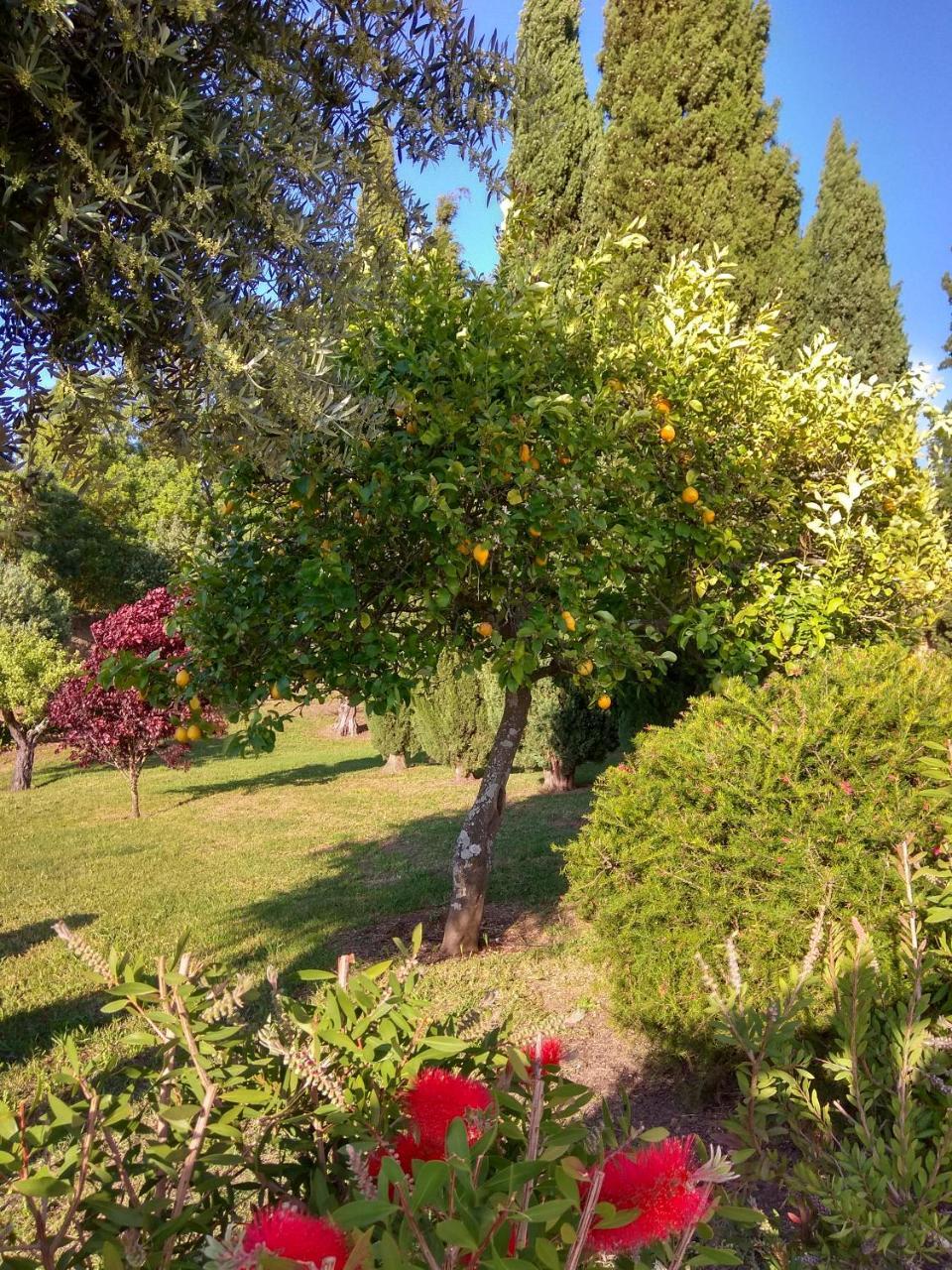 Convento Inn And Artists Residency Chamusca  Bagian luar foto